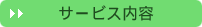 �T�[�r�X���e